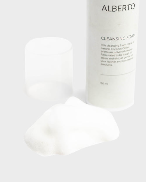 Accessories Premium Shoe Cleaner