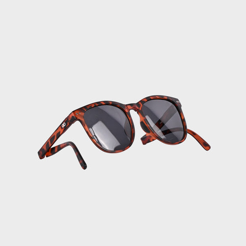 Men's Damian Sunglasses