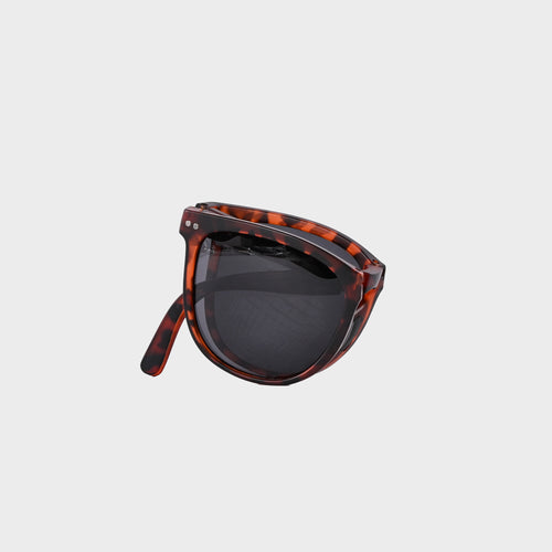 Men's Damian Sunglasses